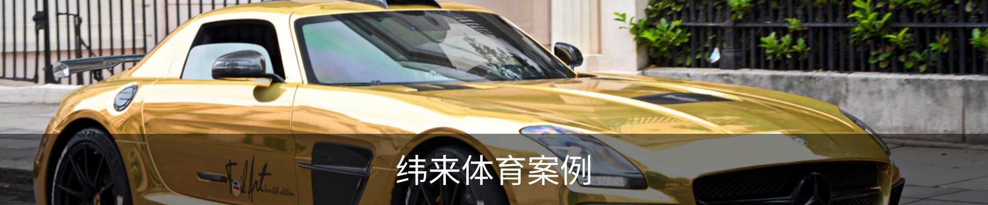 纬来体育案例